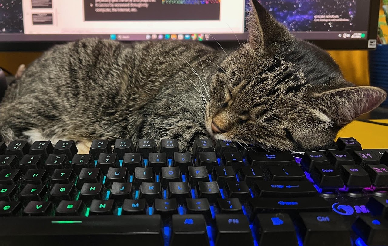 Gus